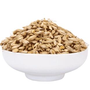 生麦芽中药材泡水喝大麦芽茶回奶特级晒麦牙茶麦芽粉中草药店铺