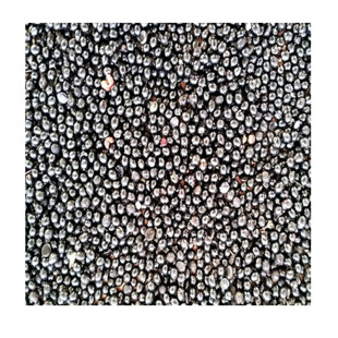 花椒籽泡脚专用大红袍花椒子花椒种子育苗榨油喂鸡驱虫散装包邮