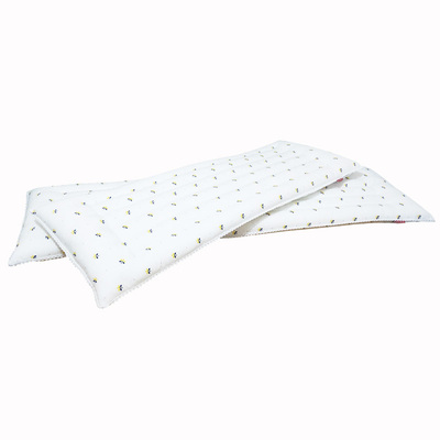 低薄长款双人枕头枕芯送纯棉枕套