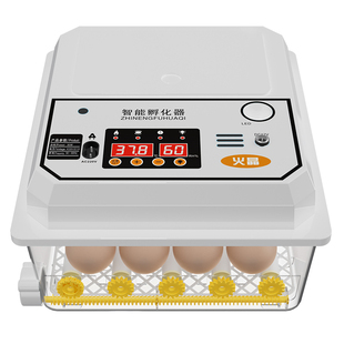 智能全自动孵化器家用孵化箱小型鸡蛋芦丁鸡鸭鹅鸽子鹌鹑孵化机