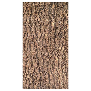 香槟真树皮背景板宠物造景装饰绿植墙爬宠箱守宫蜥蜴躲避饲养箱