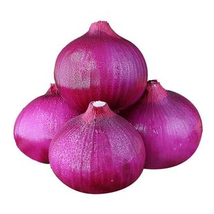 紫皮洋葱新鲜洋葱头生吃货农家自种蔬菜甜红皮圆葱5斤批发包邮10