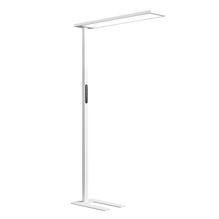 大满贯护眼大路灯学习专用台灯全光谱儿童书桌控眼轴防近视落地灯