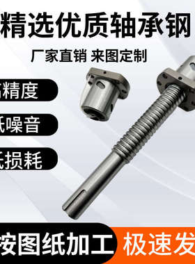 静音型精密滚珠丝杠螺母大导程SFS1616 2510 3220 4010 4020 5020