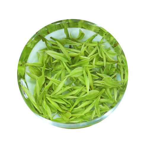 2026年新茶叶高山安吉白茶明前特级250g绿茶珍稀白茶原产地茶厂直