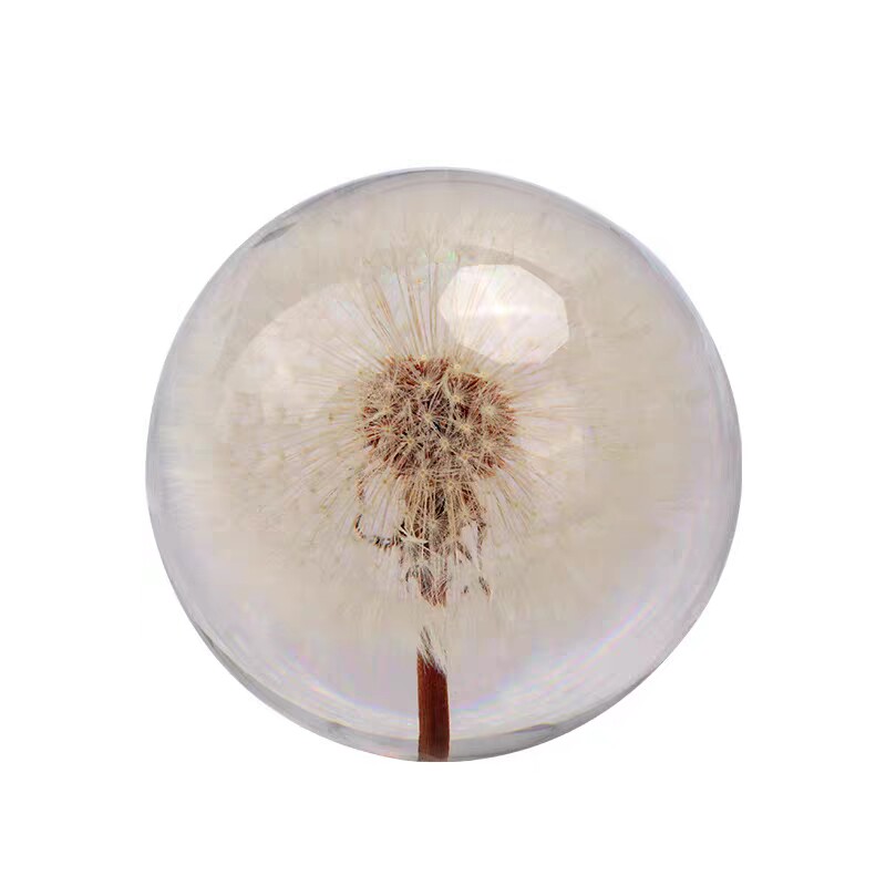 向日葵滴胶成品永生花蒲公英植物标本水晶球八音盒小夜灯告白礼物