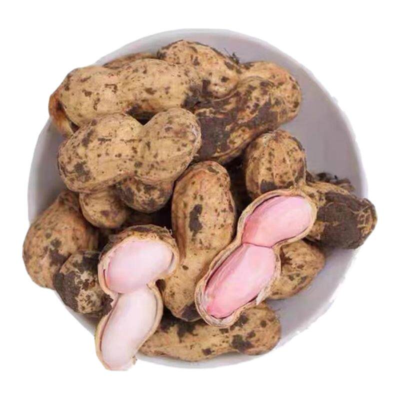 新鲜湿花生粉红皮带壳带泥长生果