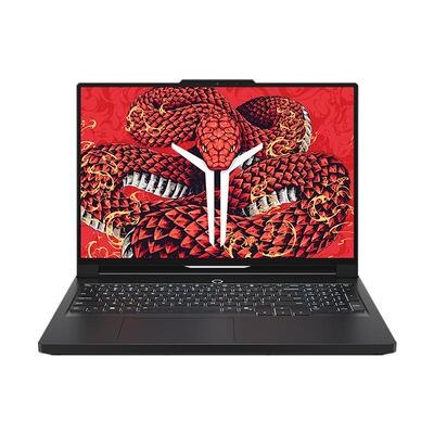 拯救者R9000P2025AI元启笔记本