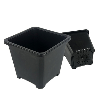 多肉花盆景天小方盆十二卷生石花pp盆 多肉植物群生老庄盆大方盆