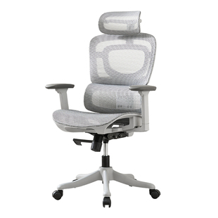 科润S900人体工学椅子舒适久坐电脑椅家用女性护腰办公座椅电竞椅