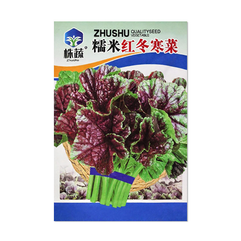 株蔬糯米红冬寒菜种子