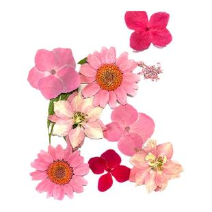 干花书签标本塑封膜瓶子里的秋天手工diy材料收集小学生透明花朵大号玻璃瓶制作树叶粘贴画创意自制压花礼物