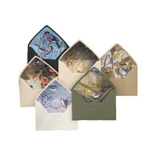 现货原创质感纸质复古自然风动物风景内衬图案礼物卡片信封封套