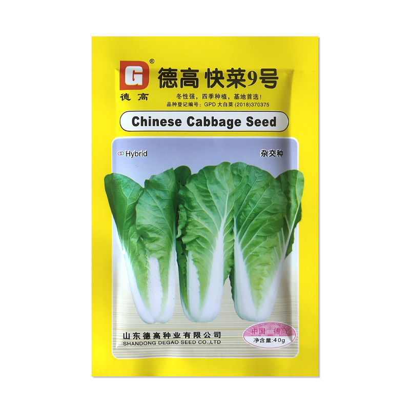 德高快菜9号快菜种子蔬菜种子