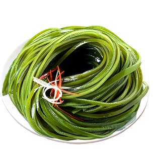 醇醇厚丝荣成海带盐渍海带丝非干货特级新鲜海带火锅食材商用五斤