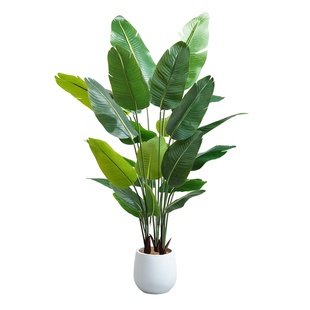仿真绿植天堂鸟假绿植室内客厅大型落地盆栽绿植摆件高级感仿真花