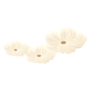 帕莎 卧室吸顶灯 2026新款现代简约客厅吸顶灯奶油风创意花朵灯具