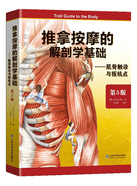 推拿按摩解剖学基础肌骨触诊