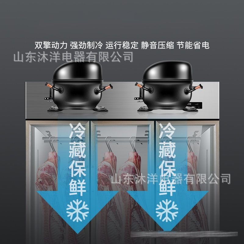 挂肉柜商用冷藏展示柜立式冰柜速冻保鲜整猪牛羊双门直冷排酸