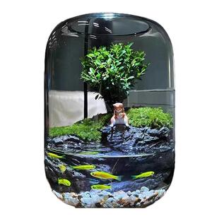 创意水培玻璃花瓶生态瓶微景观小型鱼缸桌面造景观赏盆摆件礼物