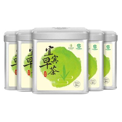 2024年春茶宜宾早茶开园头采绿茶