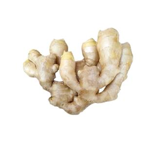 新鲜生姜老姜大姜农家自种泥姜大黄姜窖存大姜大块姜土姜无硫黄姜