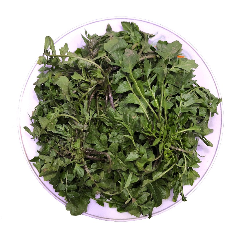 【顺丰包邮】秦岭野生新鲜荠菜