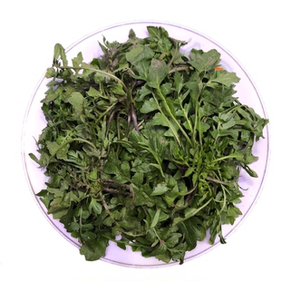 顺丰包邮秦岭野生荠菜野菜新鲜秦岭地丁菜饺子混沌馅现挖现发4斤