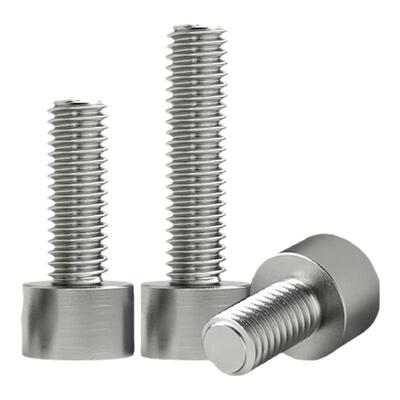 内六角螺丝纯钛杯头栓DIN9