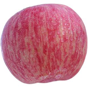 山东烟台栖霞红富士苹果水果新鲜当季带箱10斤整箱吃的包邮