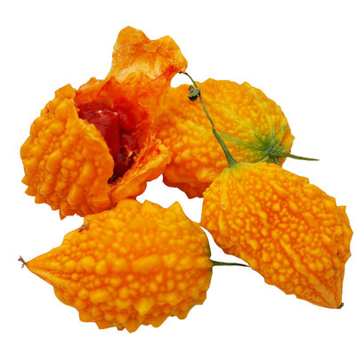 金铃子赖葡萄金癞瓜种子种籽苗金玲子是什么秧苦瓜蔬菜孑癞秧苗