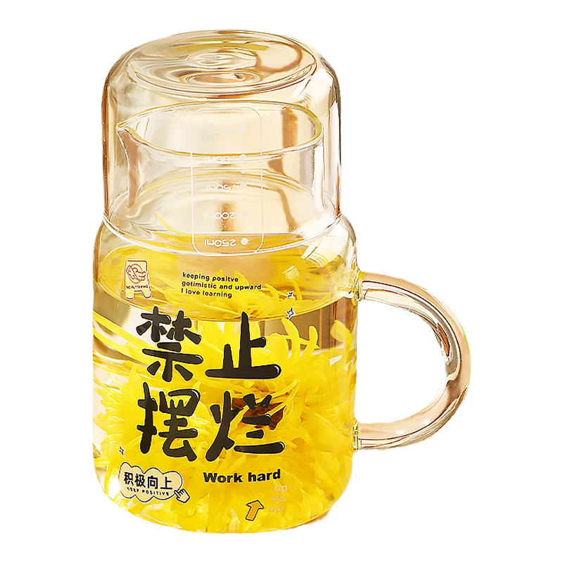 高硼硅玻璃杯带盖把手水杯大容量800ml喝水杯子女高颜值2026新款
