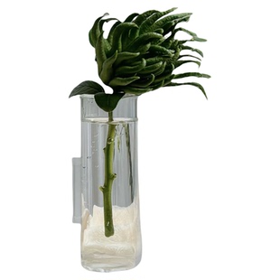 简约透明玻璃细长试管花瓶佛手柑花瓶桌面摆件 餐厅桌面花瓶