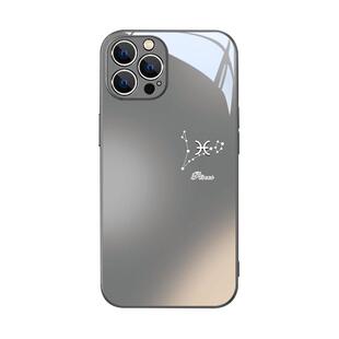十二星座苹果16手机壳15新款iPhone17Promax高级感13情侣14水瓶12/11摩羯xs狮子x渐变13男女7/8plus玻璃air套