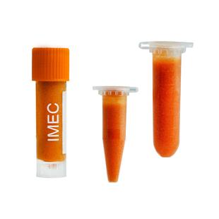 冰冻丰年虾幼虫冷冻丰年虾卵孵化孔雀鱼开口鱼粮小型鱼食水母饲料