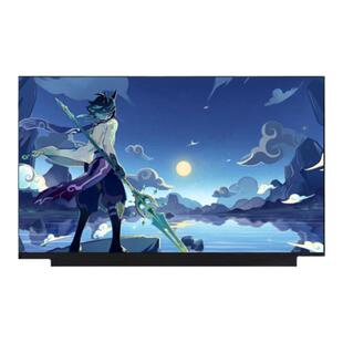 机械师 T58-T1 T90-T F57-D3 F57-D1 F117-F1系列原装笔记本屏幕