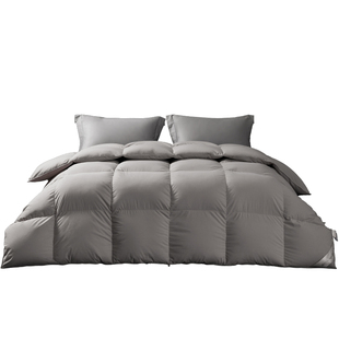 百思寒冰城雁鸭绒被95羽绒被子被芯冬被春秋空调被子母被加厚结婚