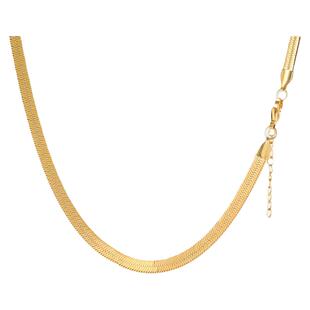 GRGR 18K金色扁蛇骨链男嘻哈潮流百搭钛钢刀片项链女锁骨链高级感