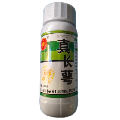 真长萼 番茄西红柿圣女果专用绿萼展萼灵拉长萼片美萼点花