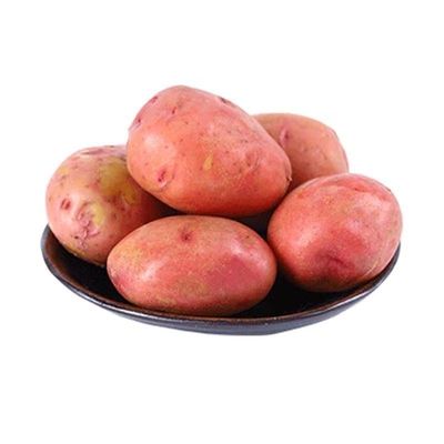 新鲜云南红皮黄心土豆马铃薯现挖自种软糯香甜洋芋马铃薯当季蔬菜