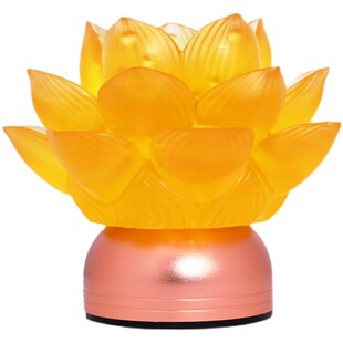 跳舞灯舞远古的呼唤五星出东方跳舞道具莲花灯舞蹈发光灯民族舞