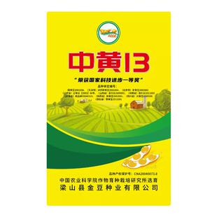 早黄豆种籽农家大豆种子高产特早熟发豆芽孑10斤豆种大粒大全毛豆