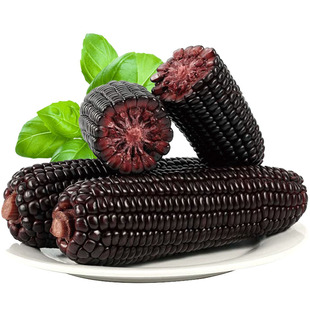 待见黑玉米新鲜糯玉米低脂代餐大棒真空装包装袋北纬山西忻州甜粘