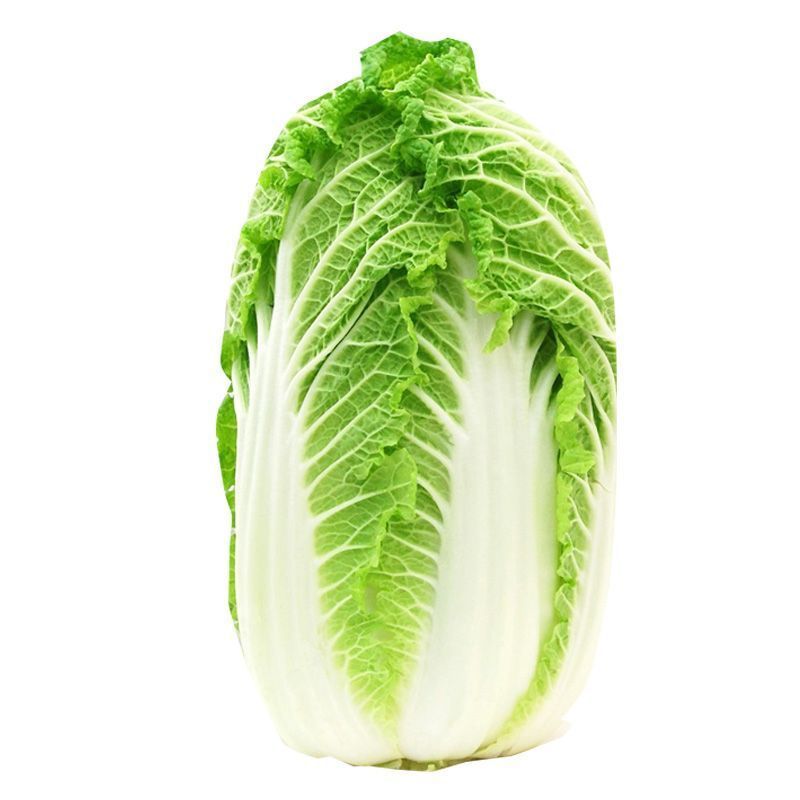 缠绳各种蔬菜种子编绳菠菜油菜罗家庭园艺种子