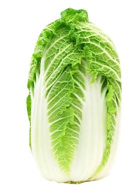 缠绳各种蔬菜种子编绳菠菜油菜罗马生菜种子萝卜种子胡萝卜小白菜