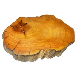 非崖柏雕刻摆件山水原木树根雕天然随形毛料艺术品枯木根艺底座根