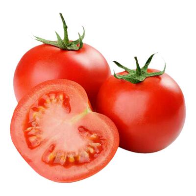 早熟口感番茄苗春夏高产沙瓤菜苗