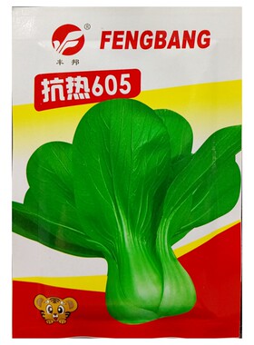 抗热605青梗鸡毛菜青菜种子20克