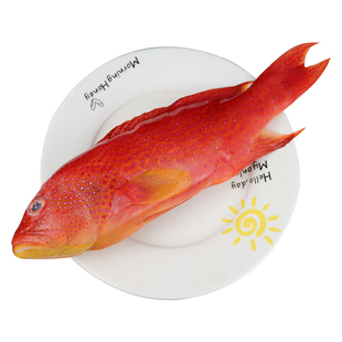 深海东星斑1.2-1.6斤石斑鱼新鲜冷冻鱼红斑鱼燕尾斑海鲜水产