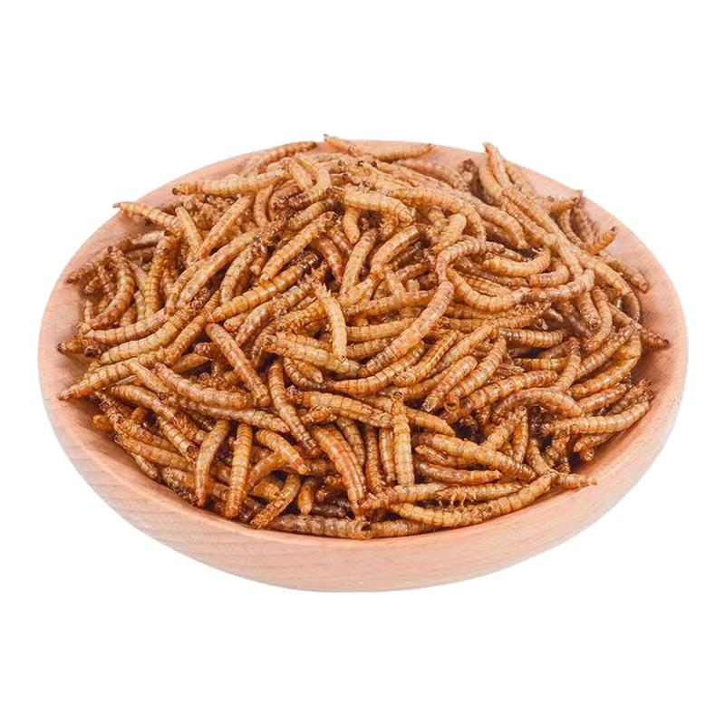 黄粉虫干面包虫干仓鼠乌龟粮芦丁爬虫/鸣虫食物